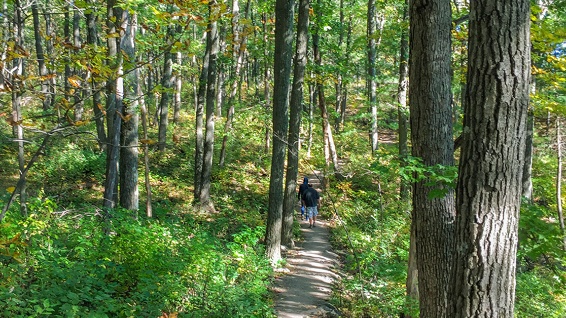 10 Of Best Hiking Trails near Wisconsin Tricky Mag