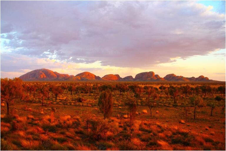 Stargazing at Uluru